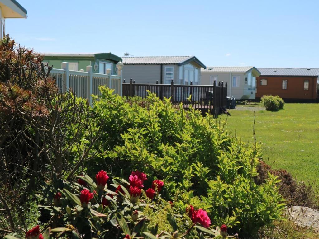 Searivers 98Lemmington By The Beach Ynyslas, Borth Bagian luar foto